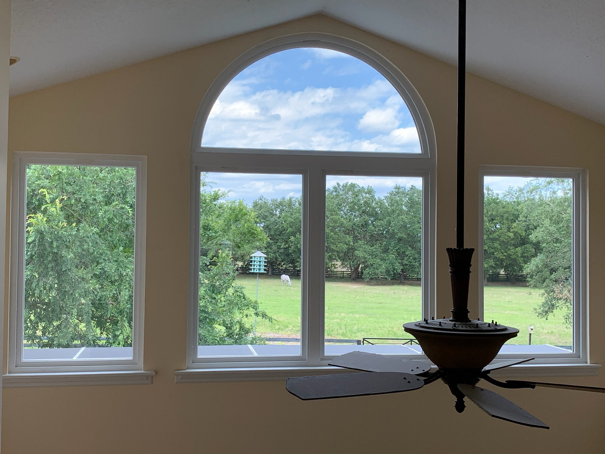 Arched picture window with pasture view in a Marion County home